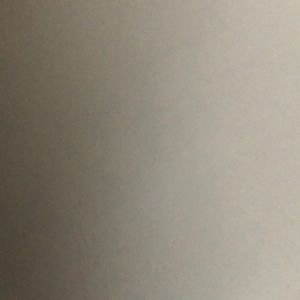 Meet your Posher, Misty